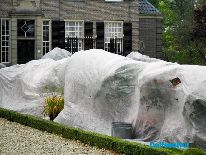 Witte Wieven op Den Aalshorst?