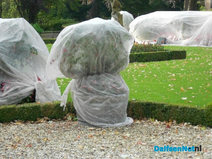 Witte Wieven op Den Aalshorst?
