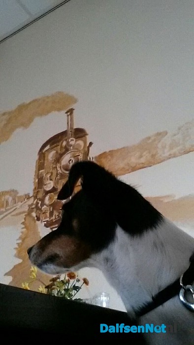 Gezocht Jack Russel (het is weer thuis)