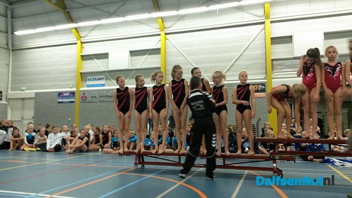 Meisjes Gymnastiek Vereniging Nieuwleusen eisen podiumplekken op