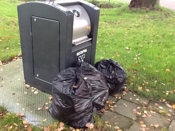 In de bonen, of juist niet - Foto: Eigen geleverde foto