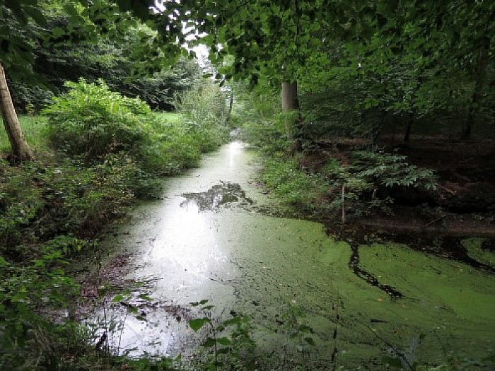 Tolhuisweg 11, Huize Hessum een Rijksmonument - Foto: Wim