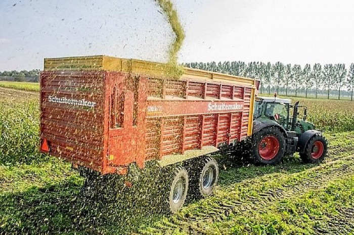 Mais oogst met kans op gladheid