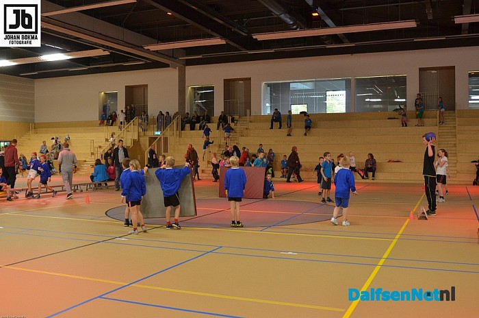 Voorronden trefbaltoernooi gemeente Dalfsen groot succes! - Foto: Johan Bokma