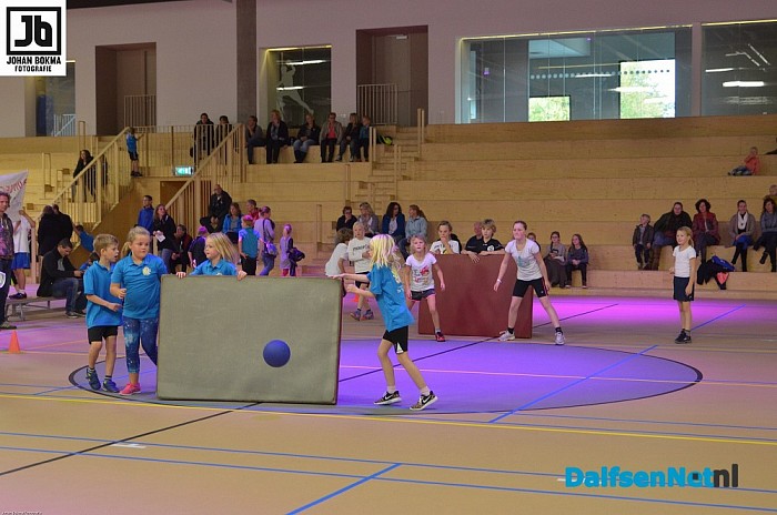 Voorronden trefbaltoernooi gemeente Dalfsen groot succes! - Foto: Johan Bokma