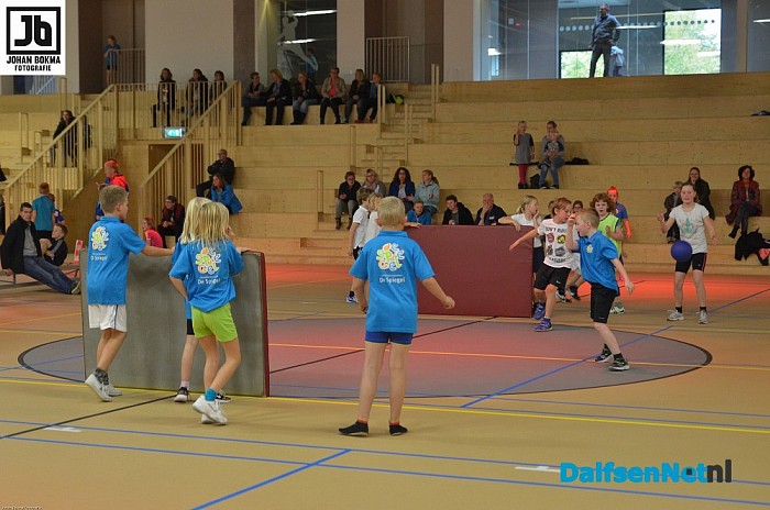 Voorronden trefbaltoernooi gemeente Dalfsen groot succes! - Foto: Johan Bokma