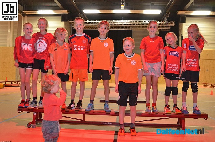 Voorronden trefbaltoernooi gemeente Dalfsen groot succes! - Foto: Johan Bokma