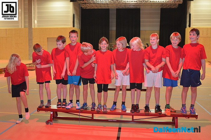 Voorronden trefbaltoernooi gemeente Dalfsen groot succes! - Foto: Johan Bokma