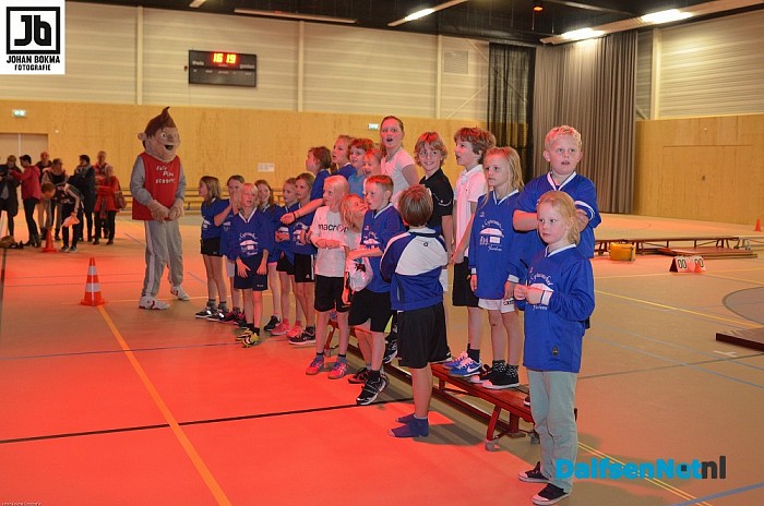 Voorronden trefbaltoernooi gemeente Dalfsen groot succes! - Foto: Johan Bokma