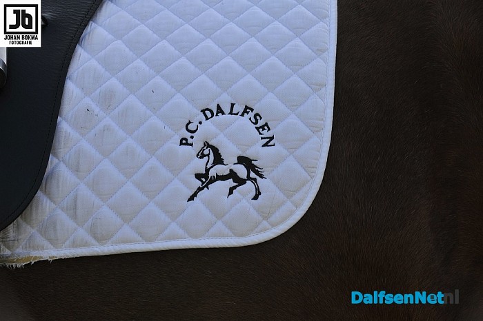 Clubkampioenschap Ponyclub Dalfsen 2015 - Foto: Johan Bokma