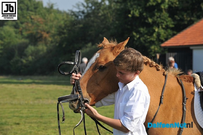 Clubkampioenschap Ponyclub Dalfsen 2015 - Foto: Johan Bokma
