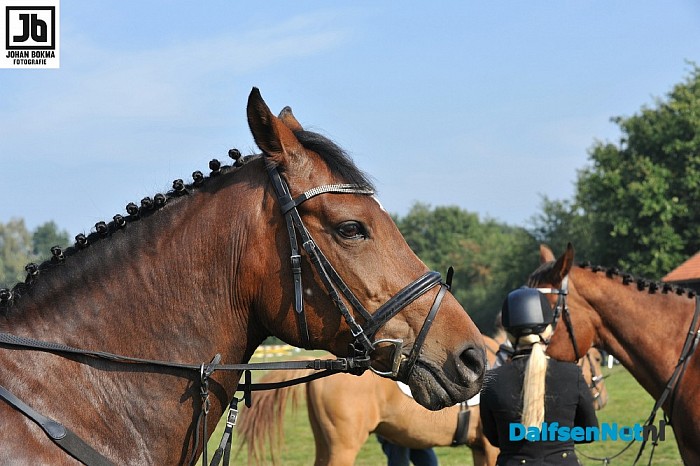 Clubkampioenschap Ponyclub Dalfsen 2015 - Foto: Johan Bokma