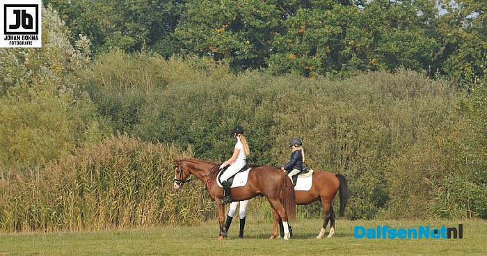 Clubkampioenschap Ponyclub Dalfsen 2015 - Foto: Johan Bokma