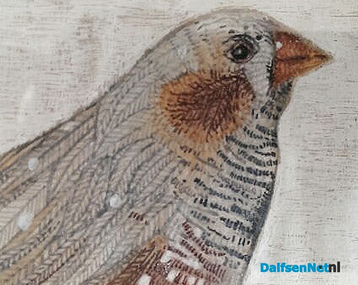 Vogel tentoonsteling