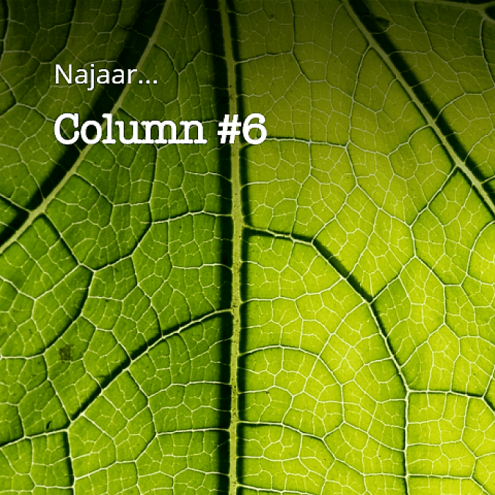 Column Groen Gebogen: Najaar - Foto: Thomas Klomp