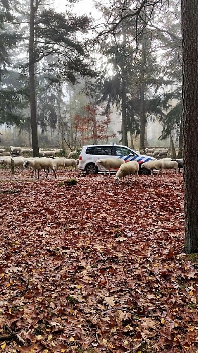 Politie ingesloten - Foto: Eigen geleverde foto