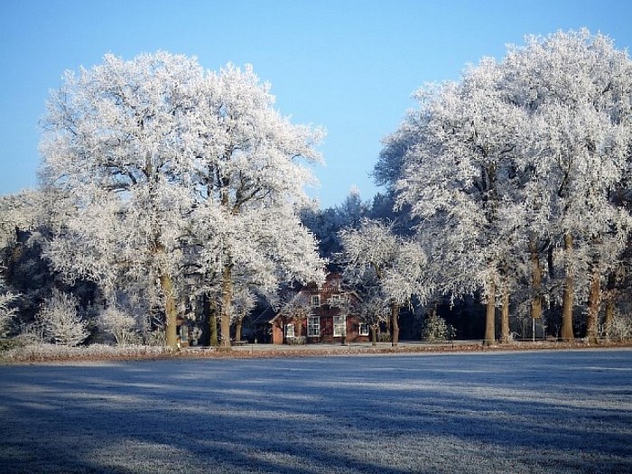 Helaas nog geen sneeuw, maar wel sfeer - Foto: Wim