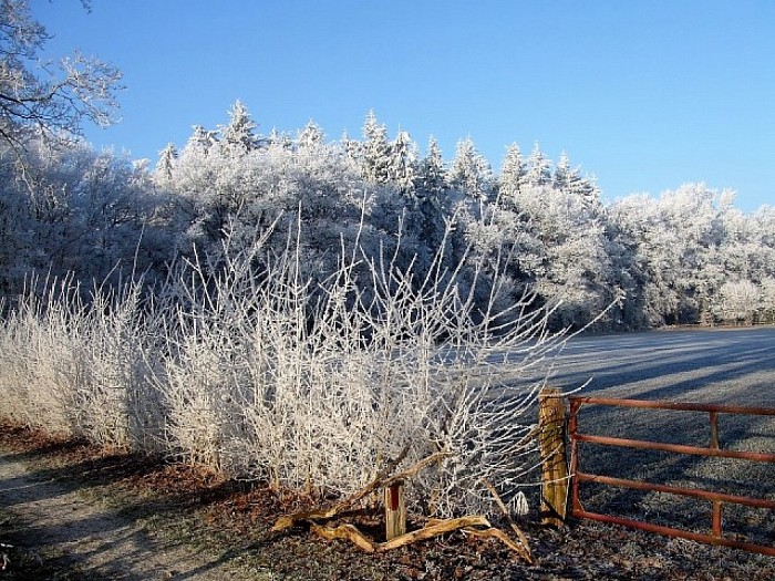 Helaas nog geen sneeuw, maar wel sfeer - Foto: Wim