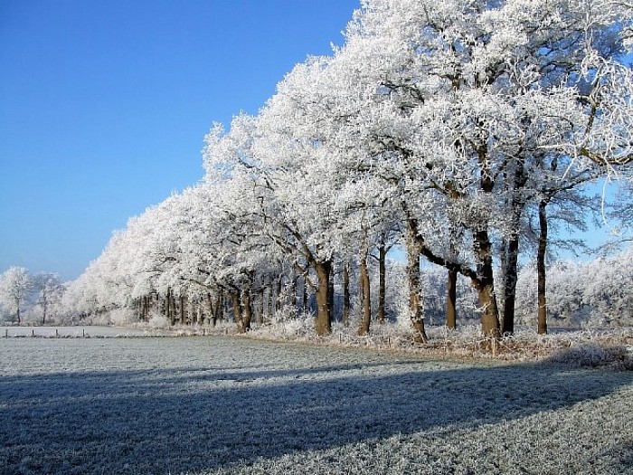 Helaas nog geen sneeuw, maar wel sfeer - Foto: Wim
