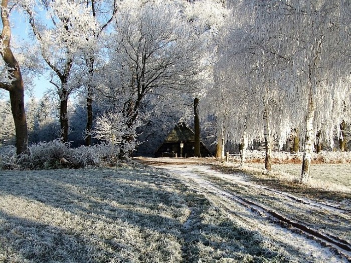 Helaas nog geen sneeuw, maar wel sfeer - Foto: Wim