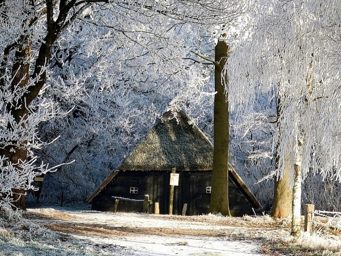 Helaas nog geen sneeuw, maar wel sfeer - Foto: Wim