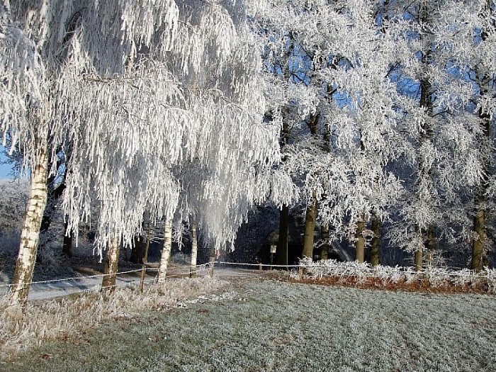 Helaas nog geen sneeuw, maar wel sfeer - Foto: Wim