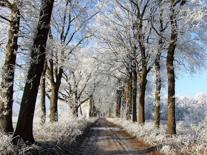 Helaas nog geen sneeuw, maar wel sfeer - Foto: Wim
