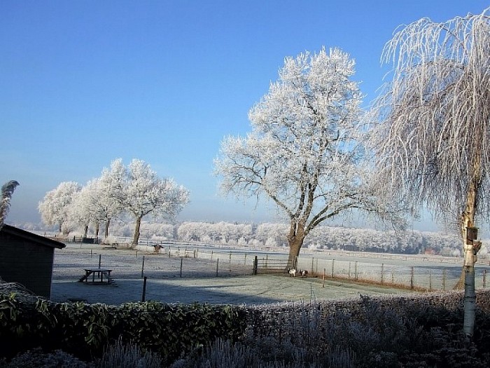 Helaas nog geen sneeuw, maar wel sfeer - Foto: Wim