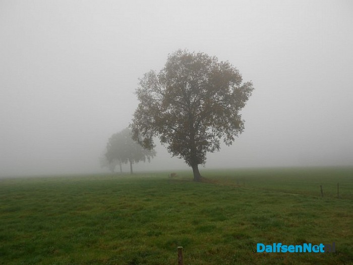De mist overdag geeft ook wel sfeer