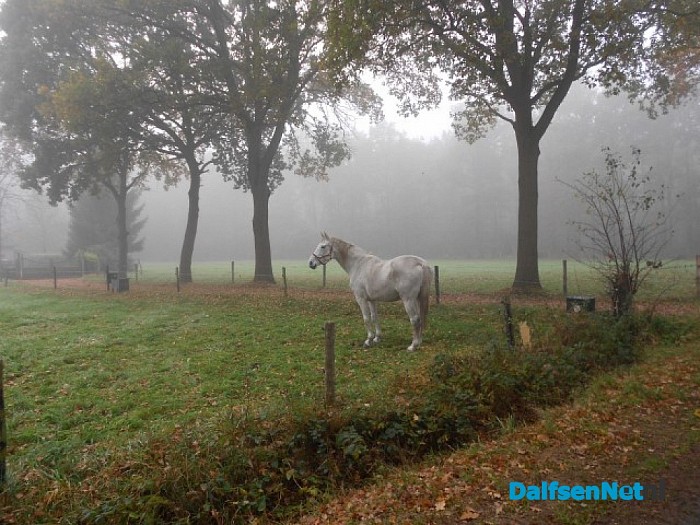 De mist overdag geeft ook wel sfeer
