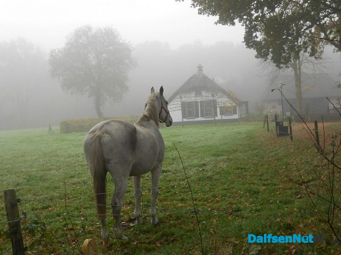 De mist overdag geeft ook wel sfeer