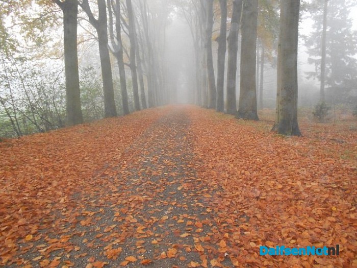 De mist overdag geeft ook wel sfeer