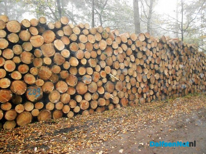 Heet het bos nog steeds Sterrebos?