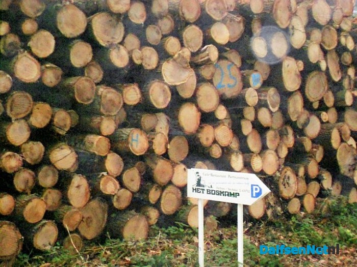 Heet het bos nog steeds Sterrebos?