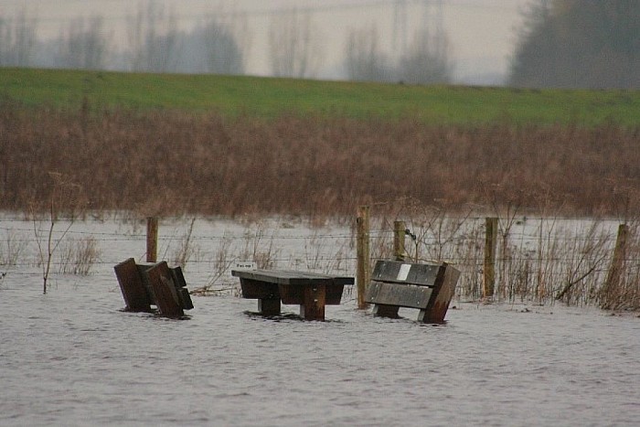 Vechtoever vrij van bootjes, steigers en afrasteringen - Foto: Eigen geleverde foto