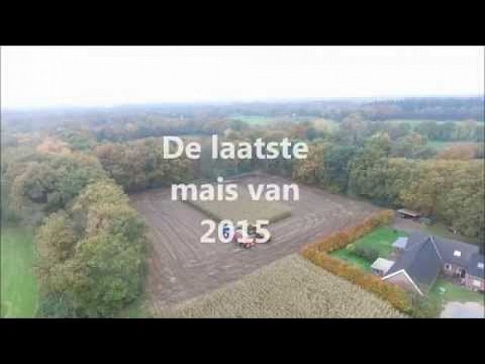 De laatste mais van 2015 (video)