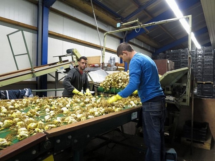 Dalfsennet foto voor lesmateriaal