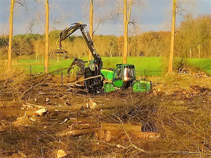 Houtkap aan de Rechterensedijk - Foto: Wim