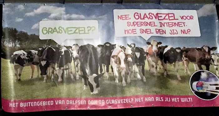 Grasvezel? Nee: Glasvezel - Foto: Eigen geleverde foto