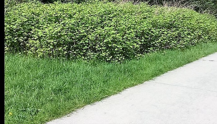 Dijkinspecties afgerond - Foto: Eigen geleverde foto
