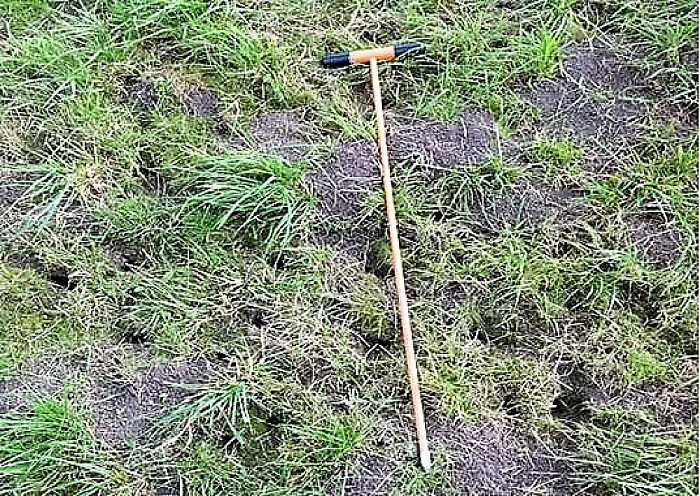 Dijkinspecties afgerond - Foto: Eigen geleverde foto