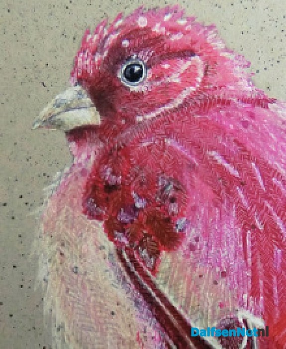 Vogel tentoonsteling