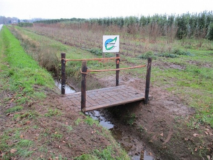 Proef de sfeer zondag - Foto: Eigen geleverde foto