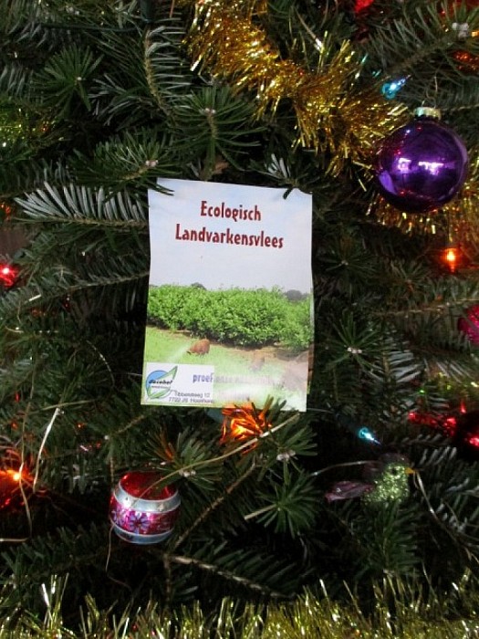 Proef de sfeer zondag - Foto: Eigen geleverde foto