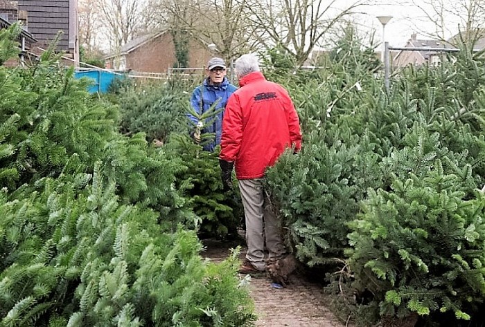 Het kerstgebeuren - Foto: Geert Bistervels