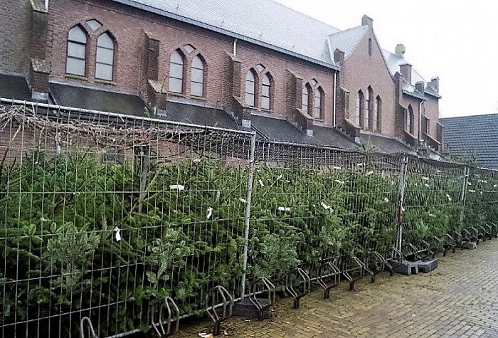 Het kerstgebeuren - Foto: Geert Bistervels