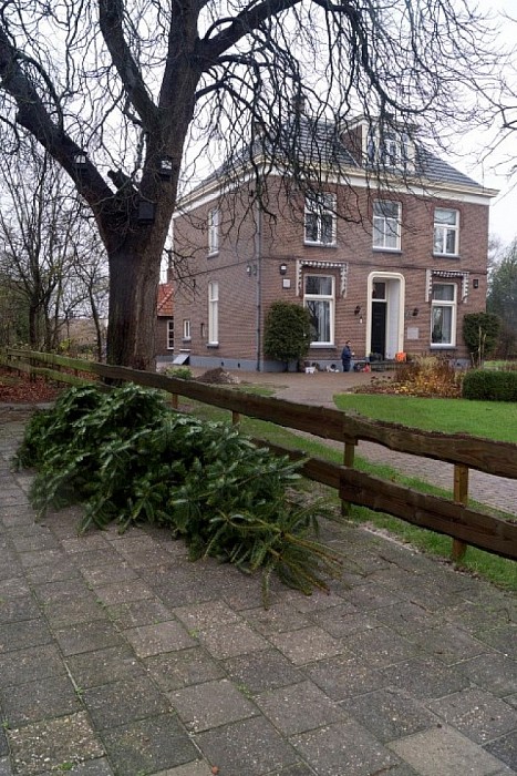 2015 Ook dit jaar weer schitterende kerstboom voor Hospice - Foto: Geert Bistervels