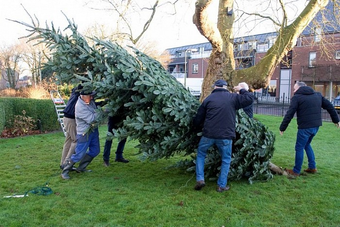2015 Ook dit jaar weer schitterende kerstboom voor Hospice - Foto: Geert Bistervels