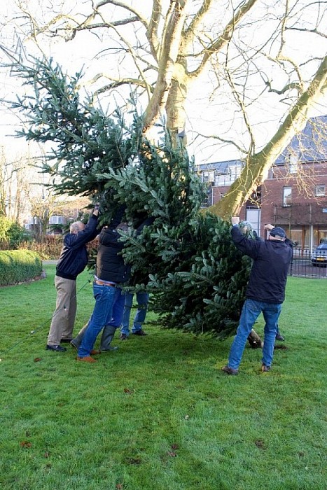 2015 Ook dit jaar weer schitterende kerstboom voor Hospice - Foto: Geert Bistervels