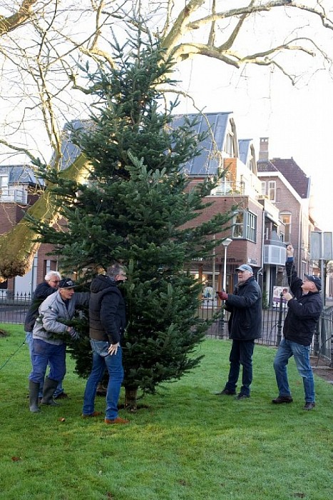 2015 Ook dit jaar weer schitterende kerstboom voor Hospice - Foto: Geert Bistervels